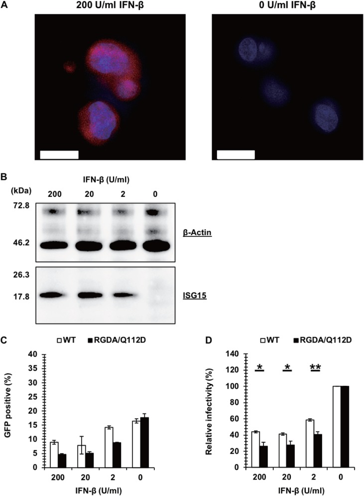 FIG 1