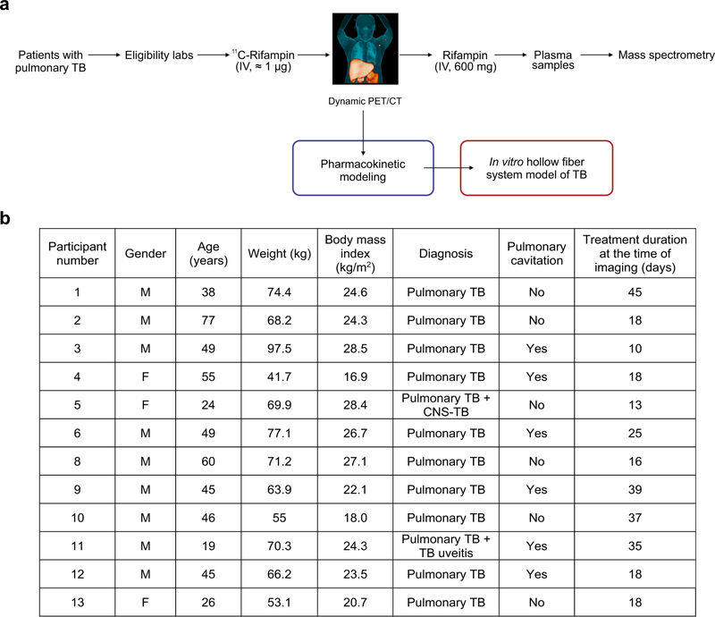 Extended Data Fig. 1 |