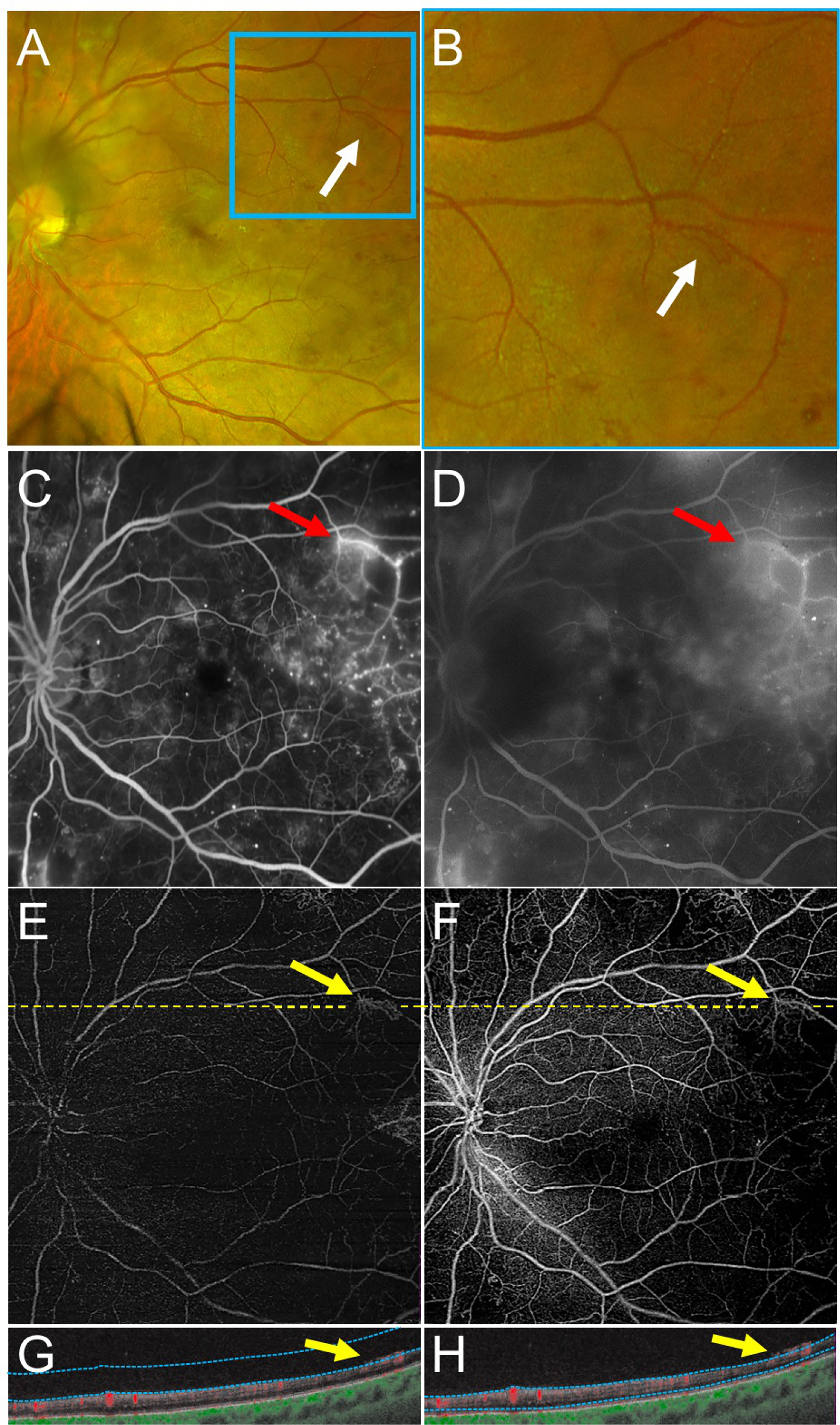 Figure 2 –