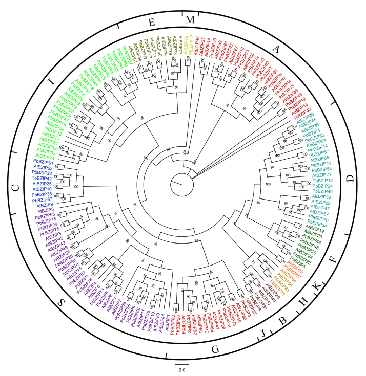 Figure 1 -