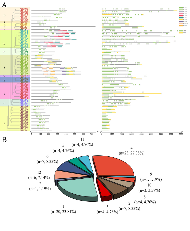 Figure 2 -