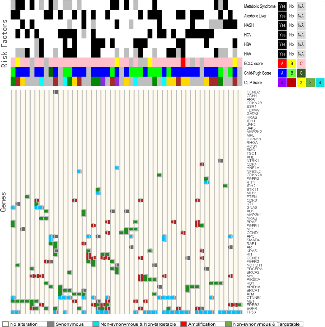 Figure 5: