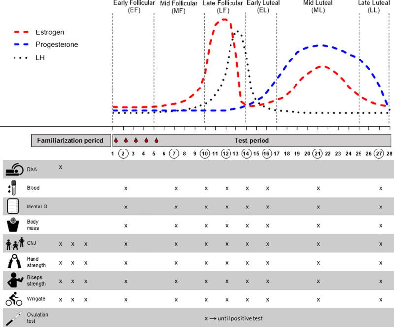 FIGURE 1