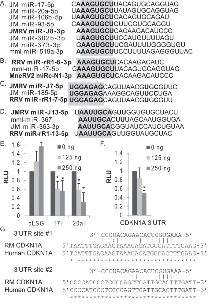 FIG 6