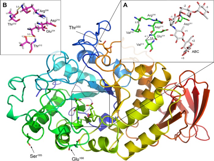 FIG 3