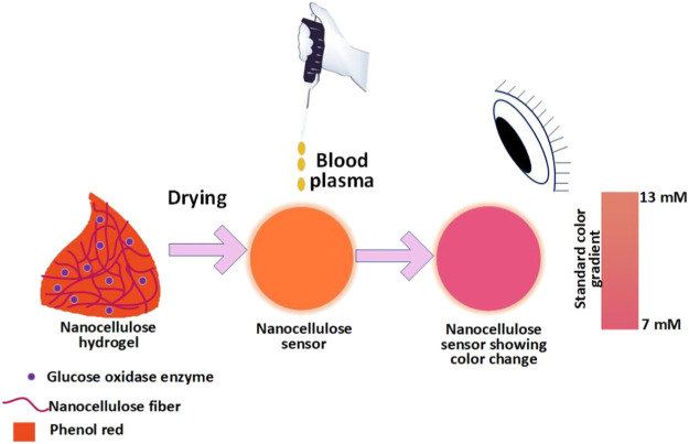 graphic file with name FBIOE_fbioe-2022-1052242_wc_abs.jpg