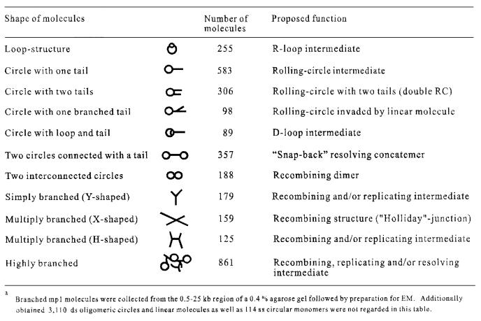 graphic file with name cdf311t1.jpg