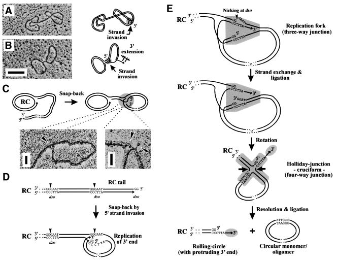 graphic file with name cdf311f8.jpg