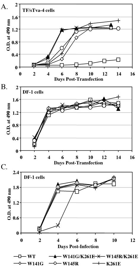 FIG. 3.