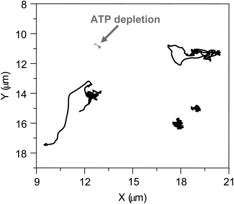 FIGURE 3