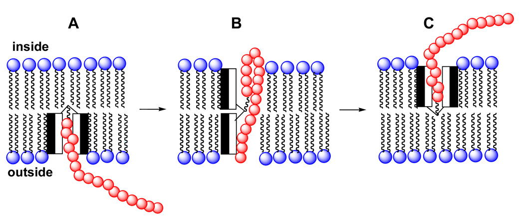 Figure 17