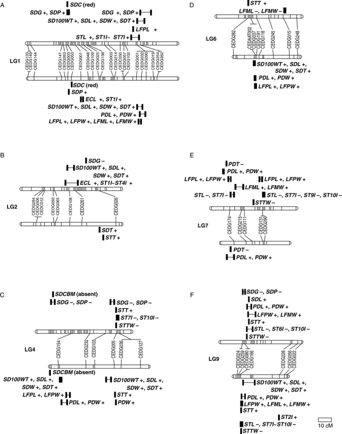 Fig. 3.