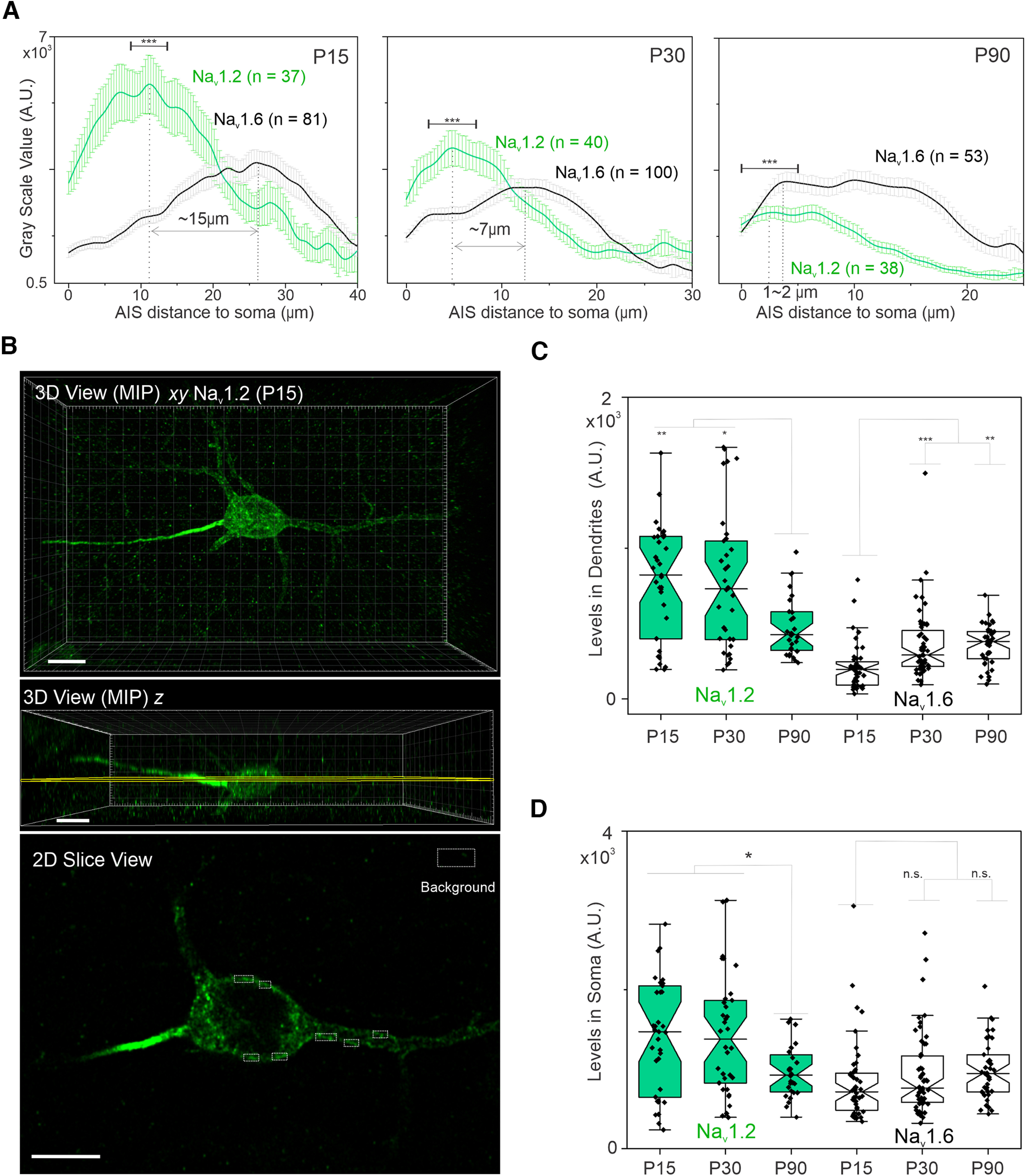 Figure 6.