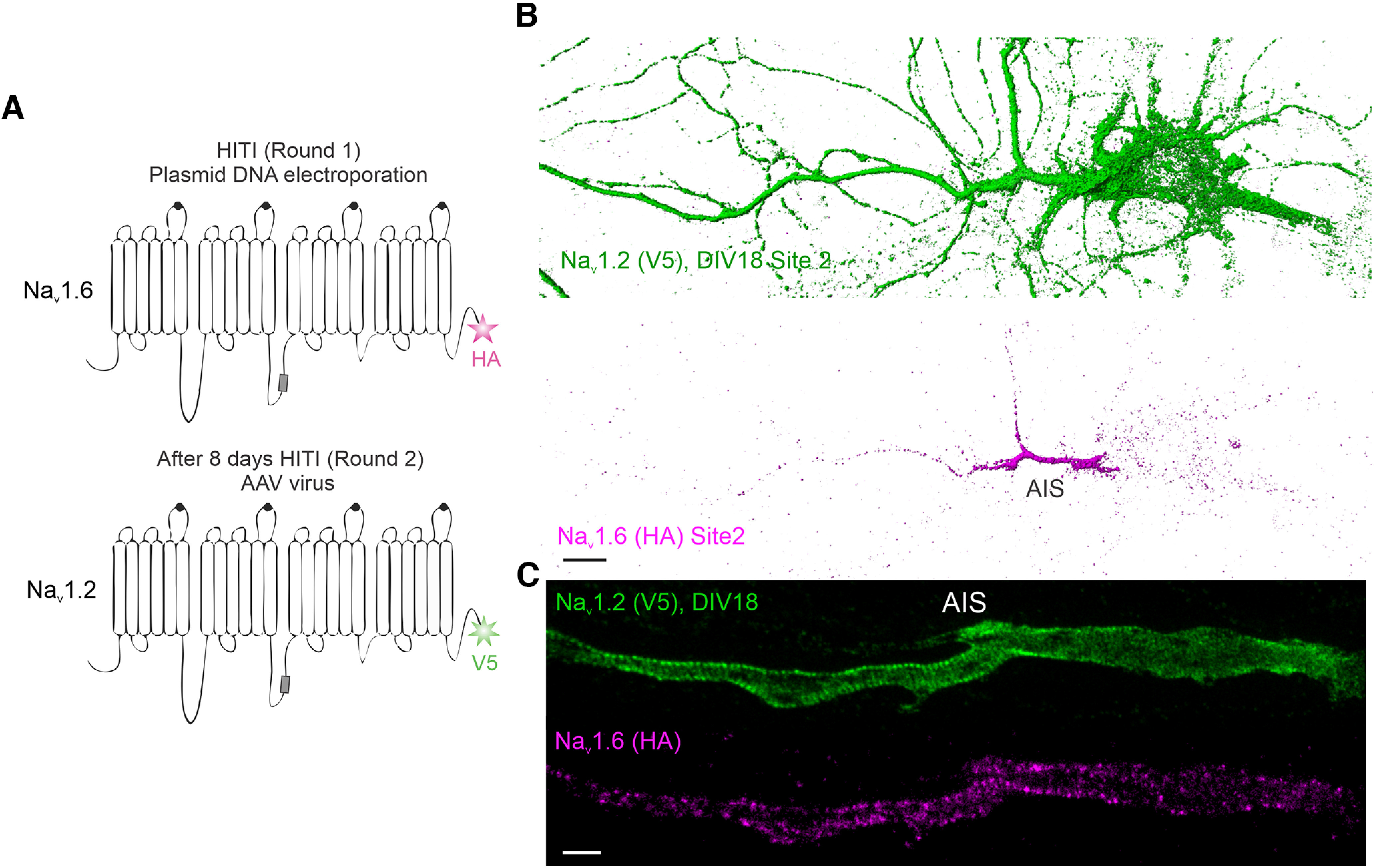 Figure 4.