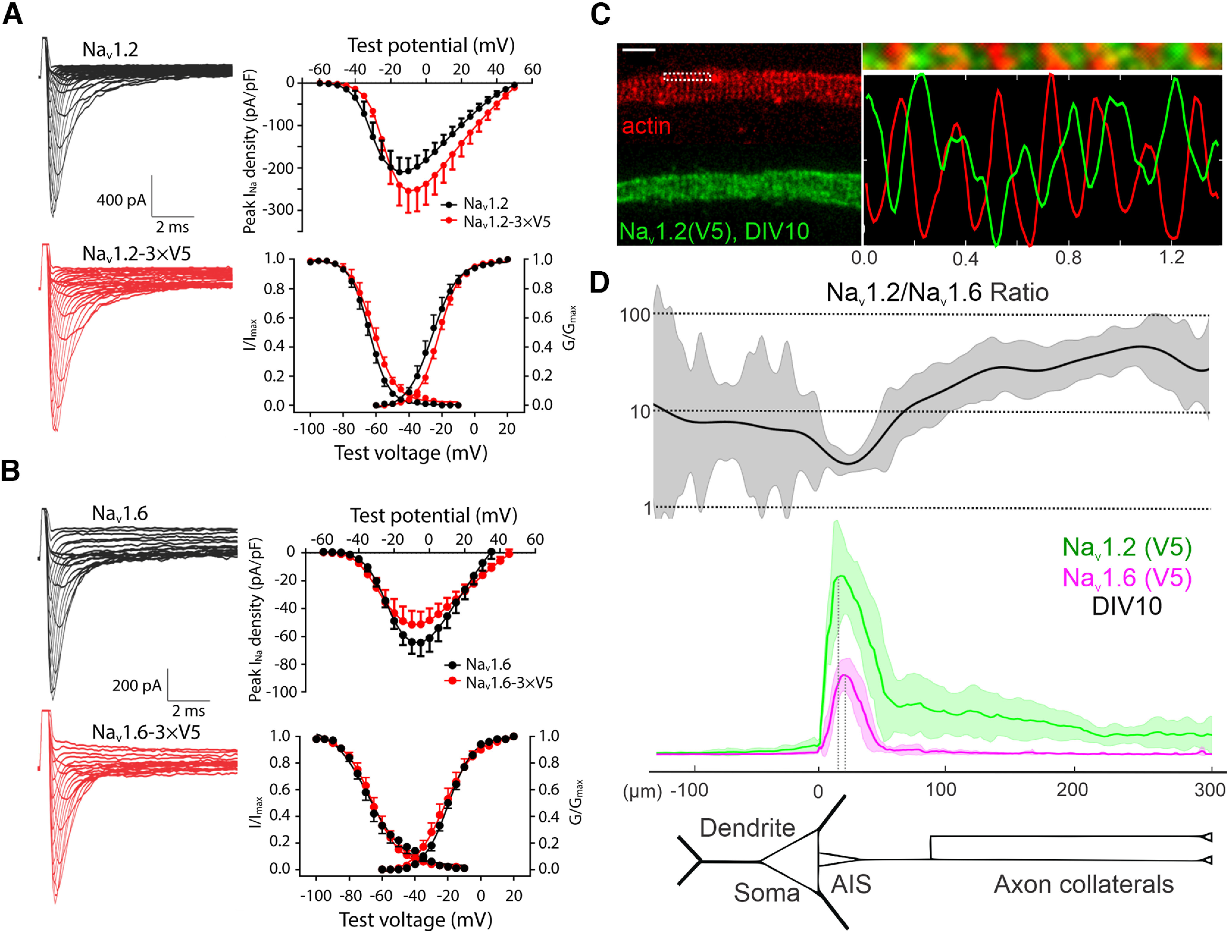 Figure 3.