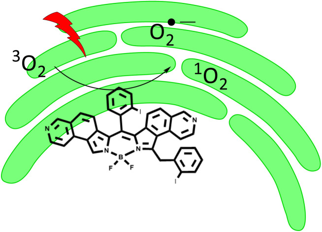 graphic file with name d4ra05603e-ga.jpg