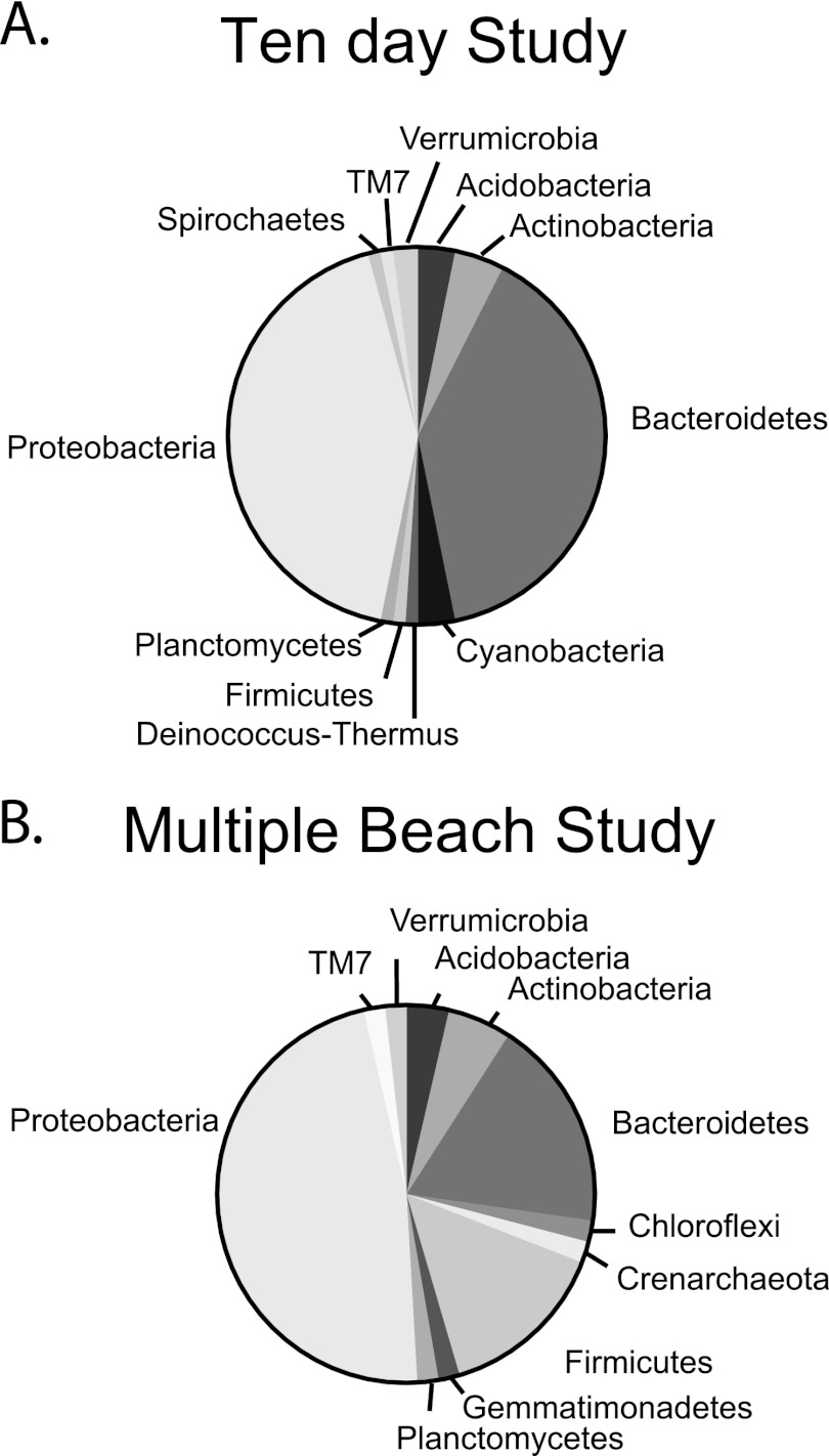 Fig 7