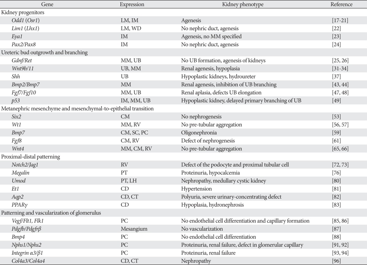 graphic file with name acb-46-19-i001.jpg