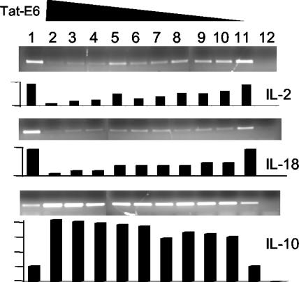 FIG. 6.