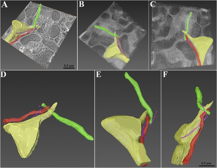 Fig. 4.