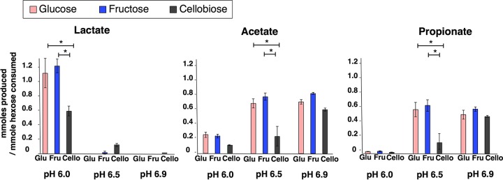 FIG 2 