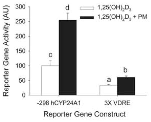 Figure 5