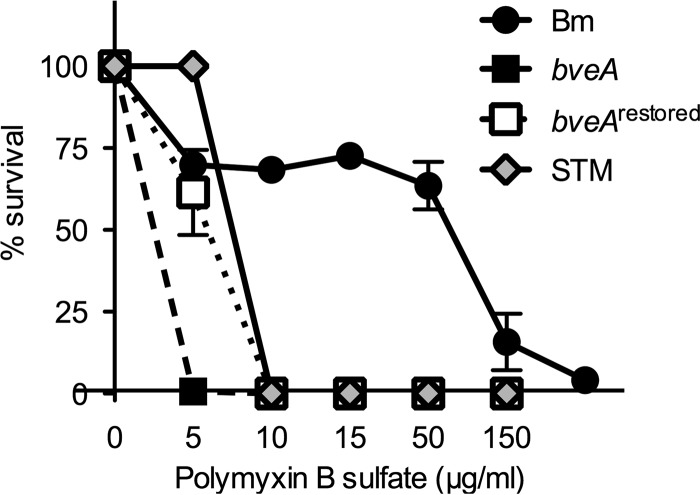 FIG 1