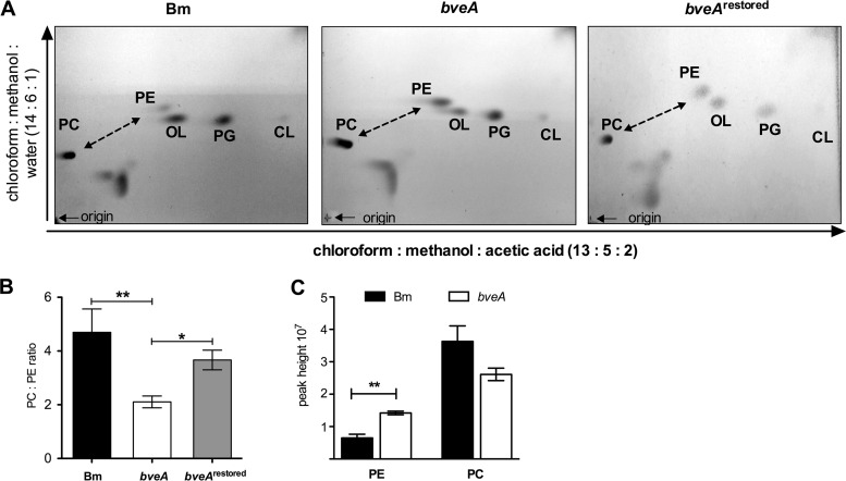 FIG 3