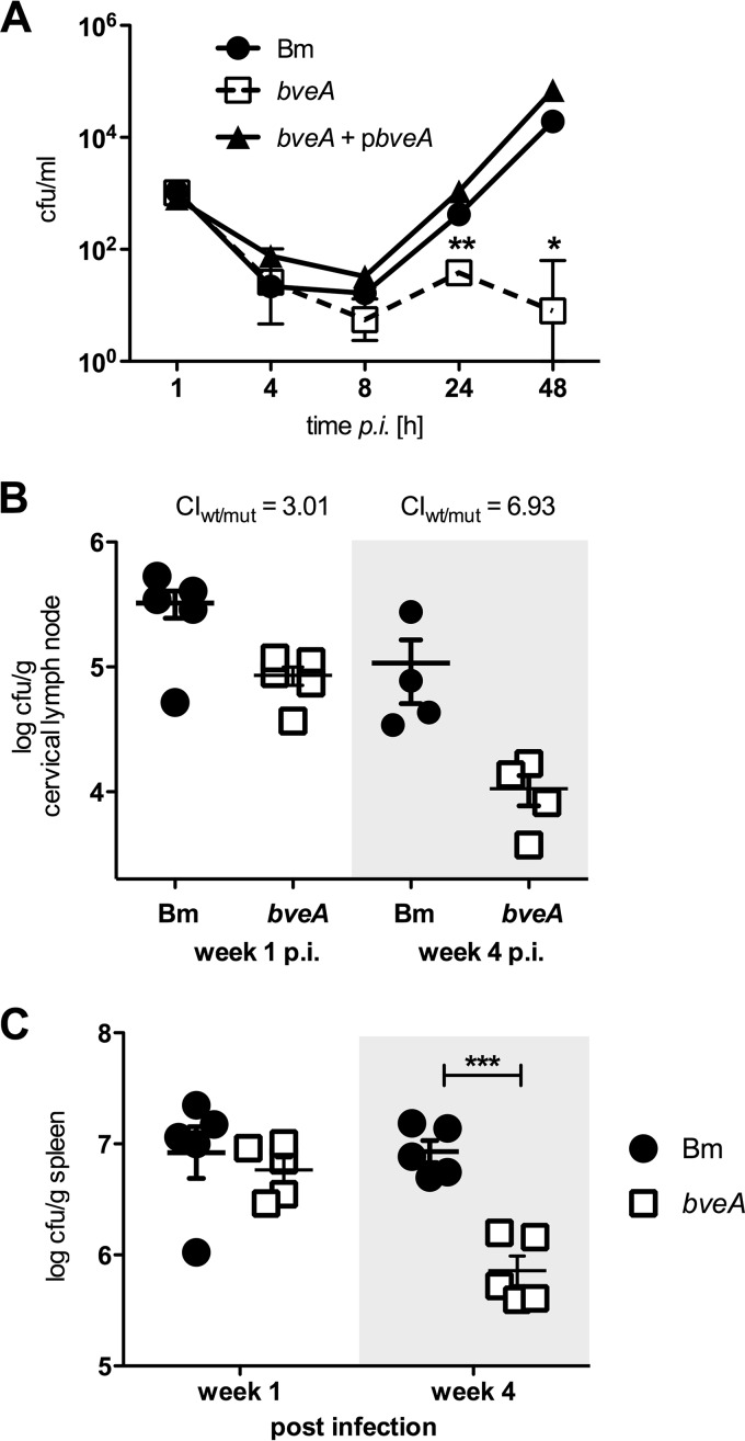 FIG 4