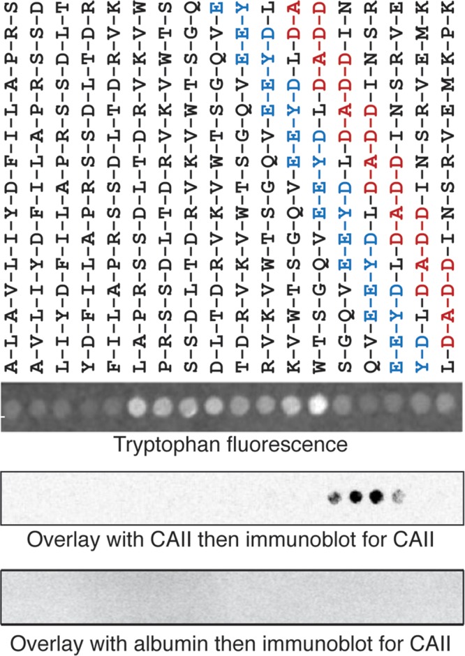 FIGURE 6: