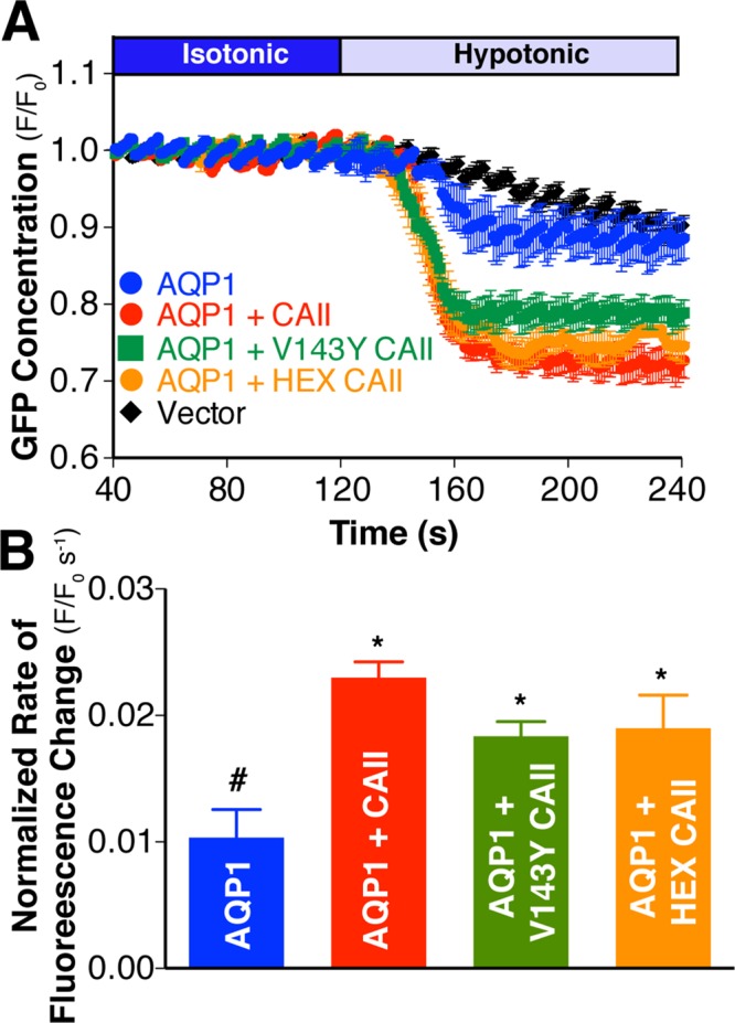 FIGURE 4: