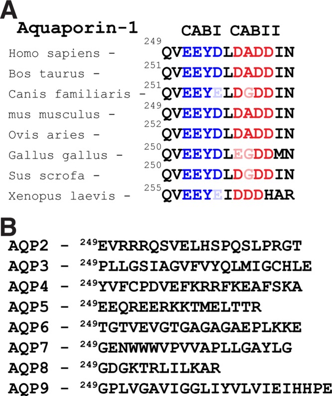 FIGURE 1: