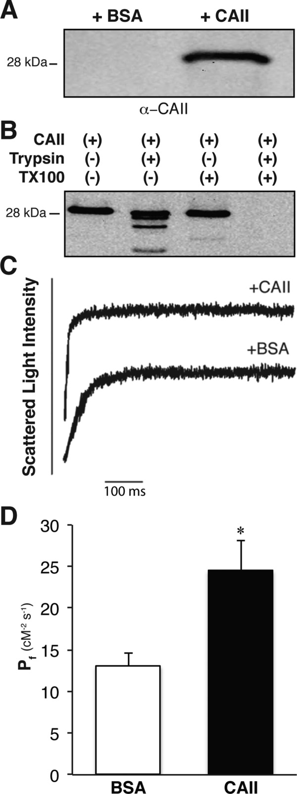 FIGURE 9: