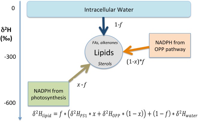 Fig 5