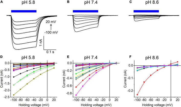 FIGURE 3