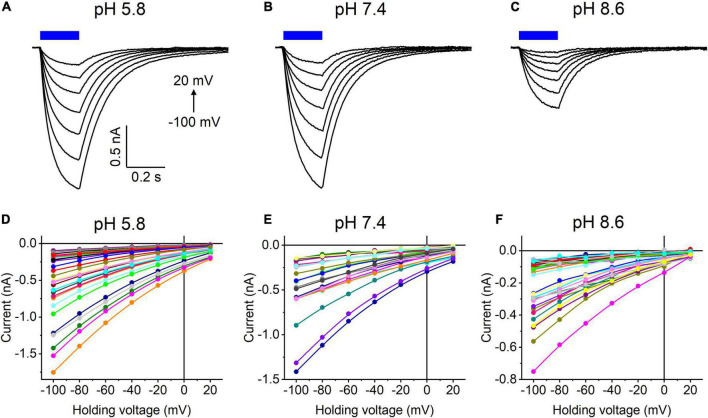 FIGURE 4