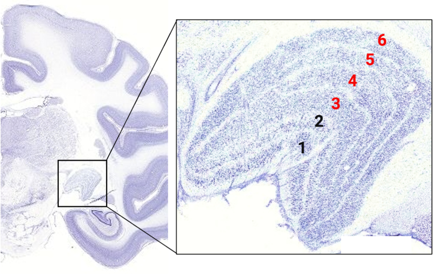 Figure 2.