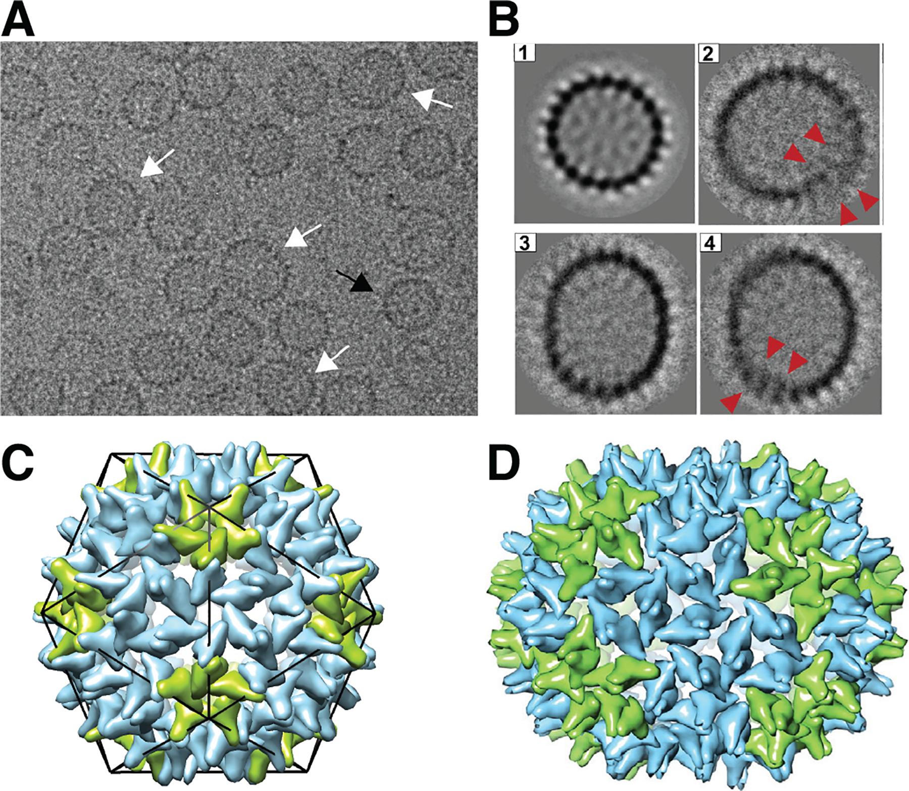 FIG. 10