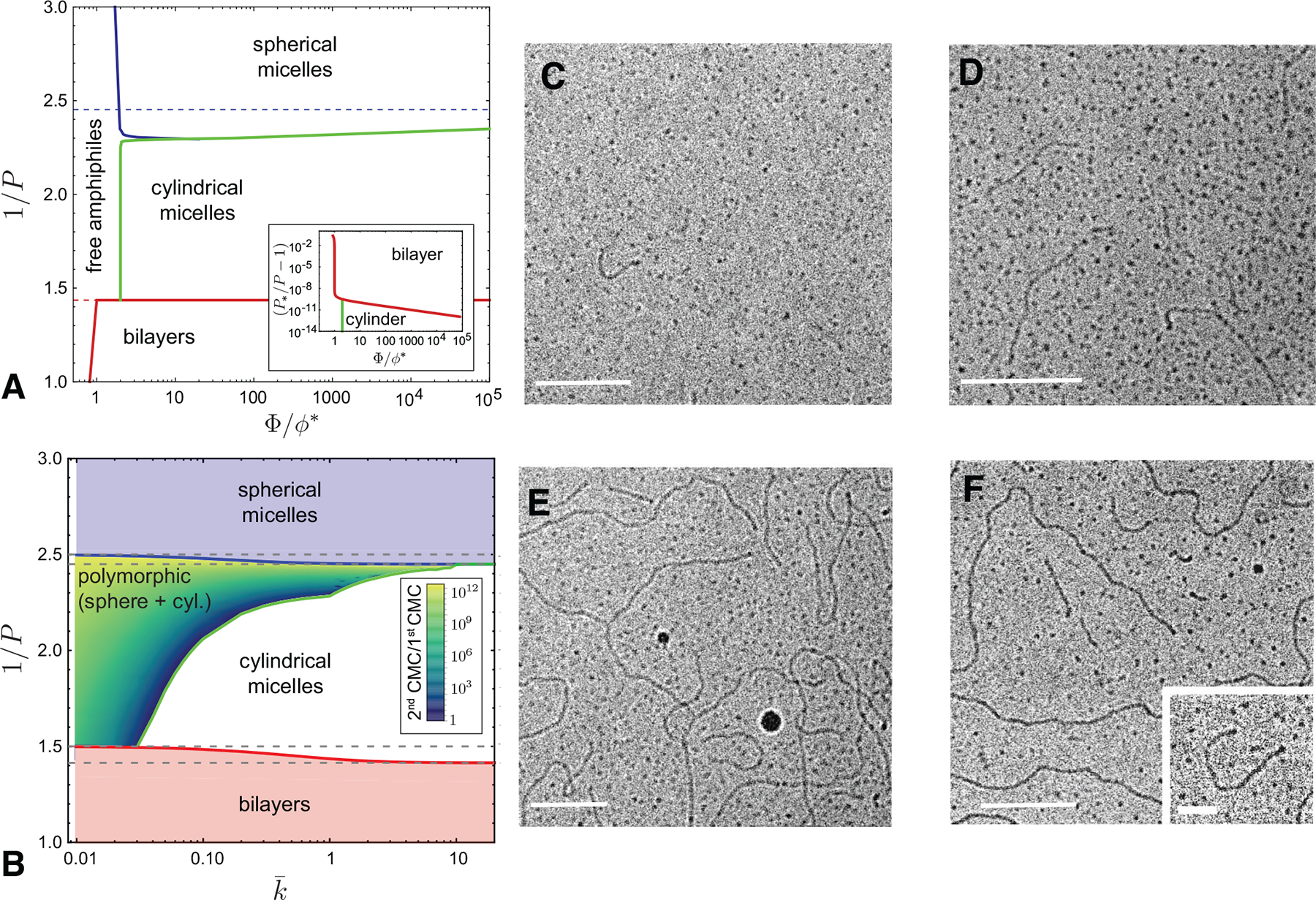 FIG. 12