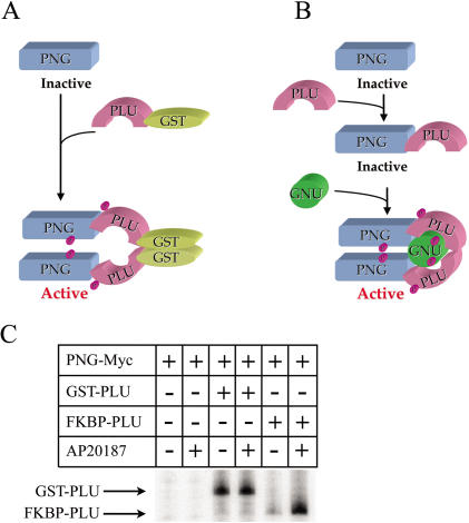 Figure 7.