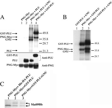 Figure 6.