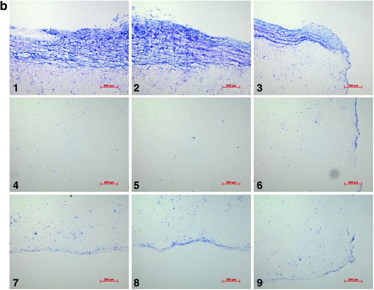 FIG. 7.