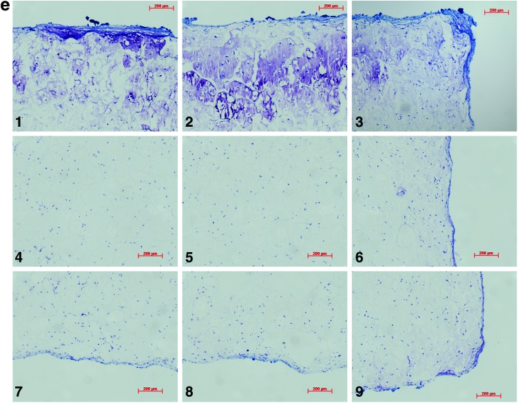 FIG. 7.