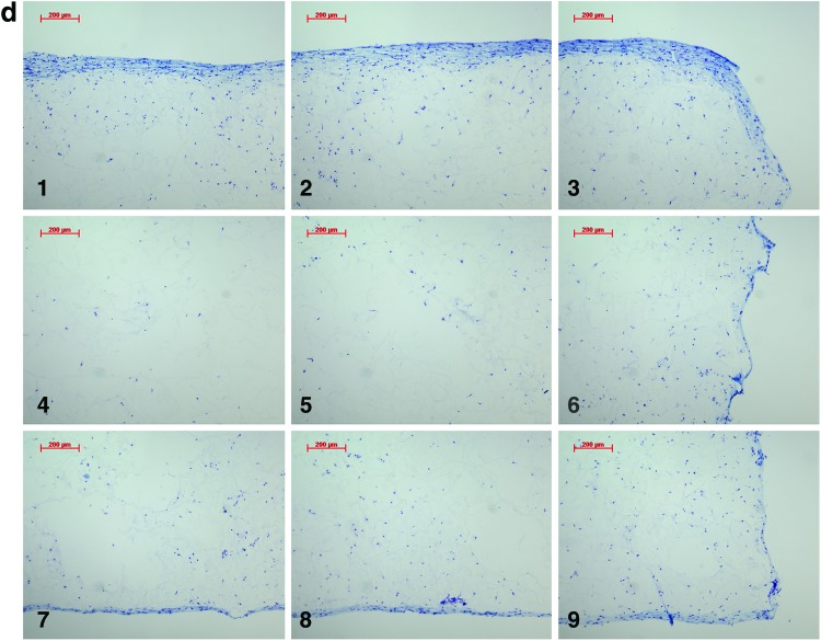 FIG. 7.