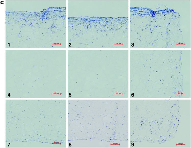 FIG. 7.