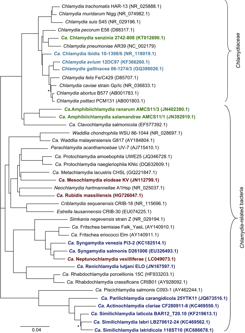 Fig. 1