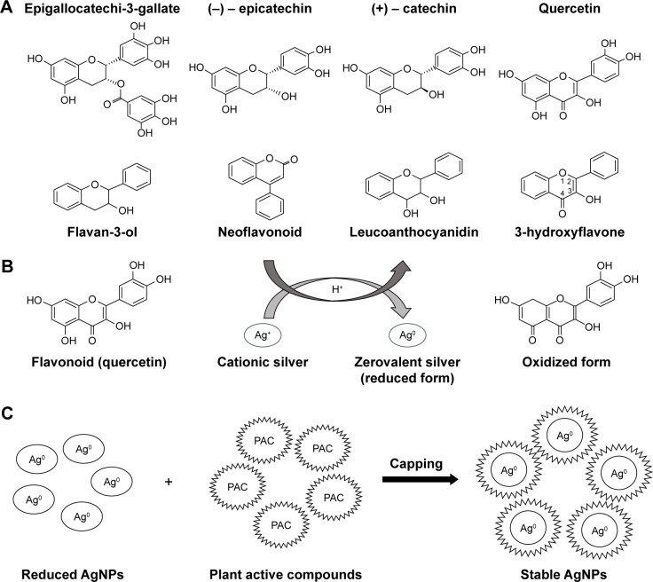 Figure 11