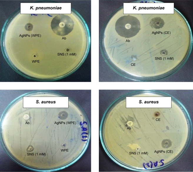 Figure 12