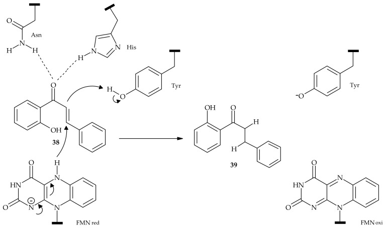 Scheme 9