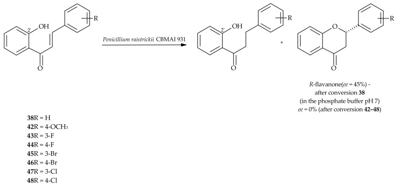 Scheme 8